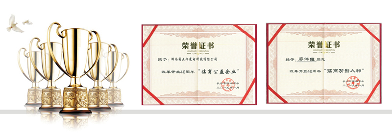湖南正陽(yáng)臨商公益企業(yè)